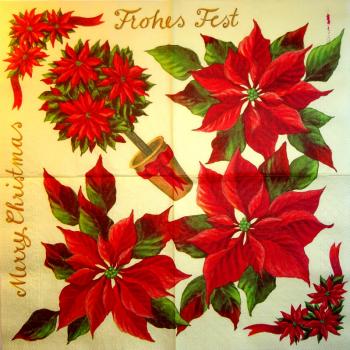 066 Christmas Flowers - 3-ply